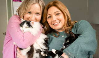 Client Story: Helping Cambridge Cat Sitting Grow Beyond the Village