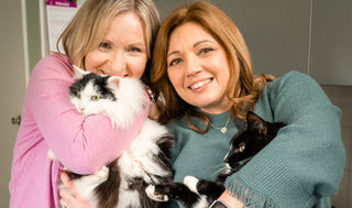Case Study: Helping Cambridge Cat Sitting Grow Beyond the Village